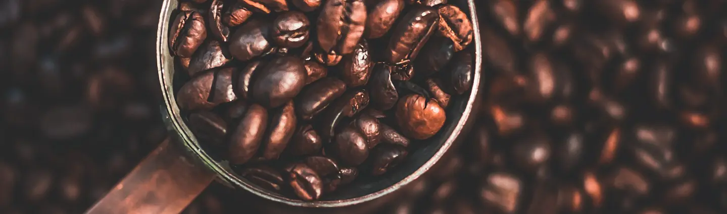 Cuppabeans - Cuppanord