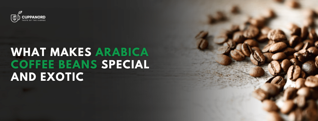 Arabica coffee beans